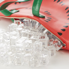 Watermelon Cooler Bag