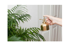 Brass Plant Mister