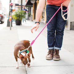 DOG MILK Dip Dyed Rope Leash Kit