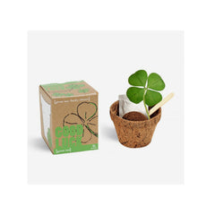 Good Luck Clover Kit