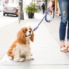 DOG MILK Dip Dyed Rope Leash Kit